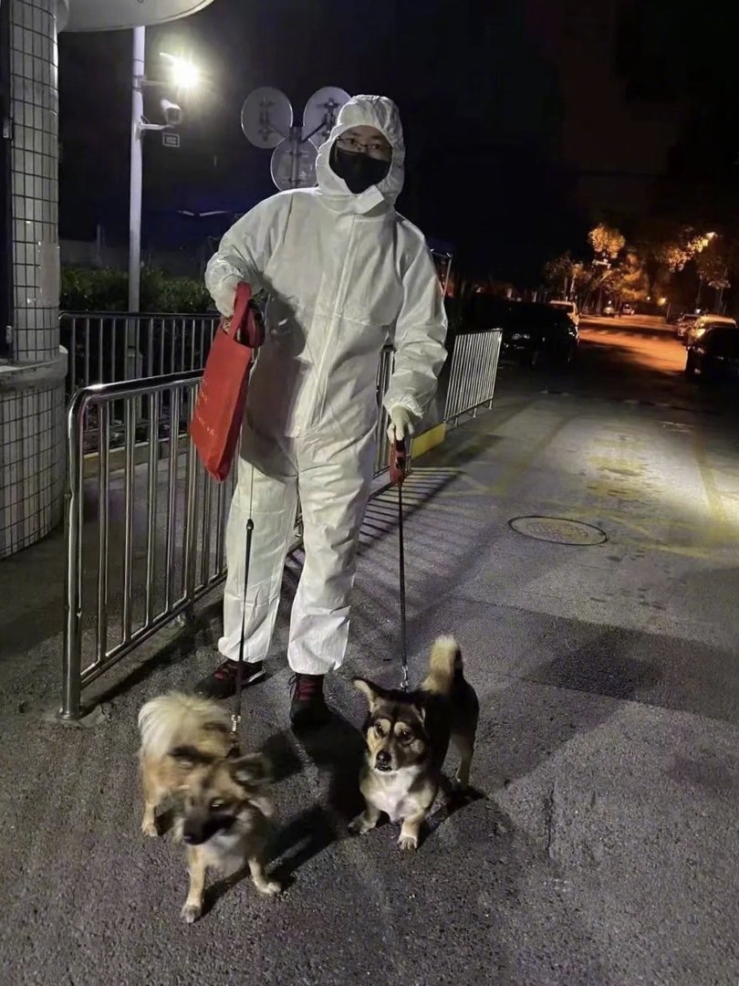 青岛警方通报酒店隔离人员坠亡，疫情期间如何疏导隔离者的心理？