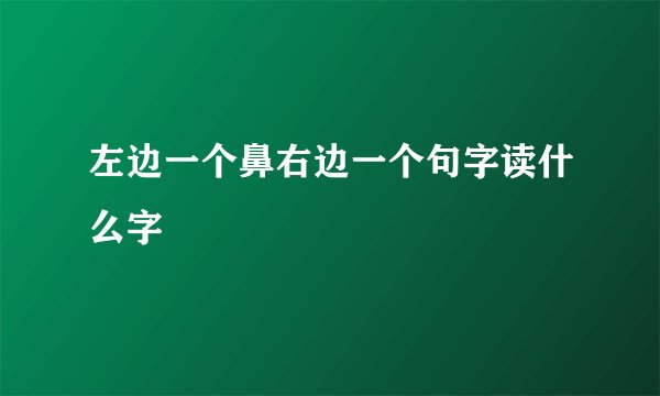 左边一个鼻右边一个句字读什么字