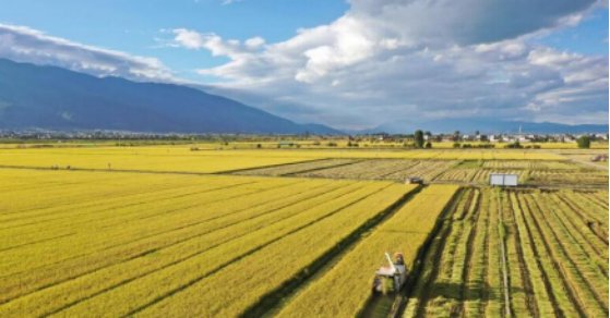 田字的笔顺正确的写法和读法