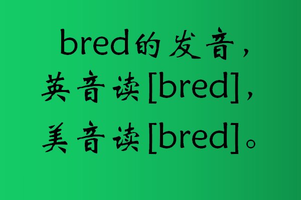 bred怎么读