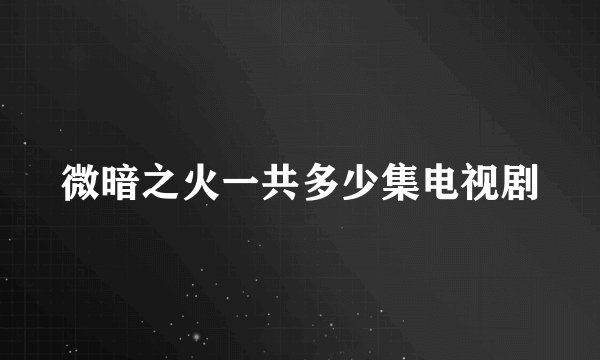 微暗之火一共多少集电视剧
