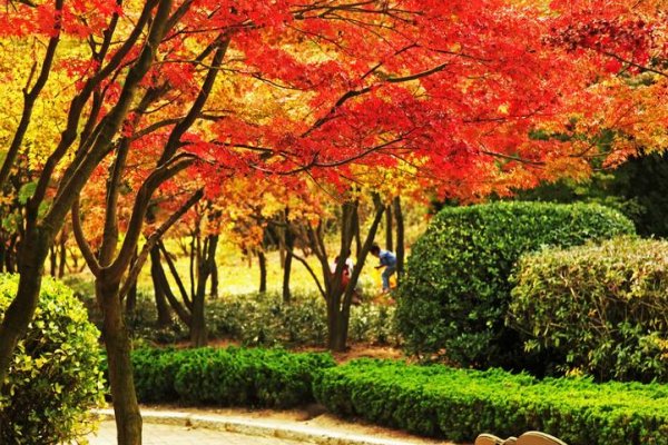 秋红的诗句唯美