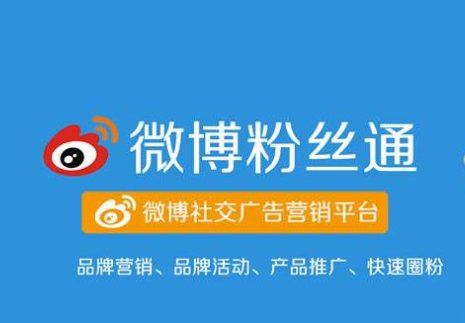 wz是什么意思？