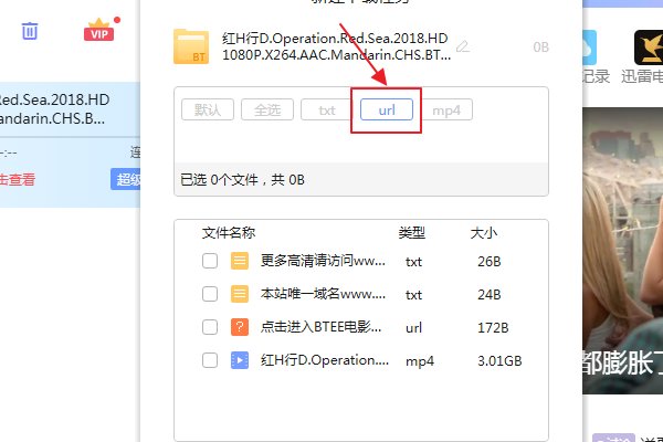 怎么查看种子的后缀是什么？