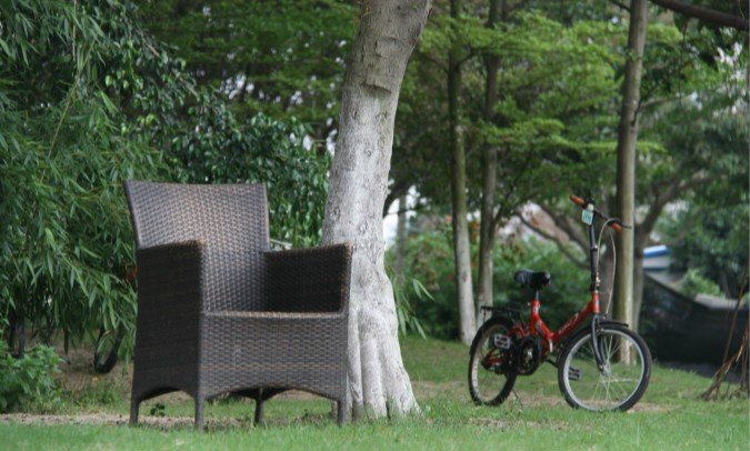 会生活是什么意思