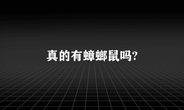 真的有蟑螂鼠吗?