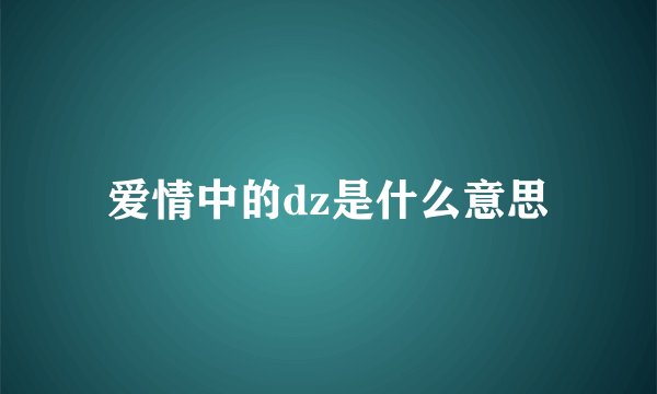 爱情中的dz是什么意思
