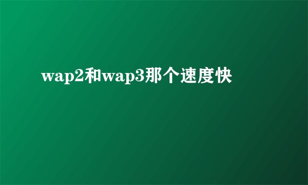 wap2和wap3那个速度快