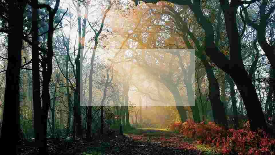 总经理辞职报告个人原因8篇