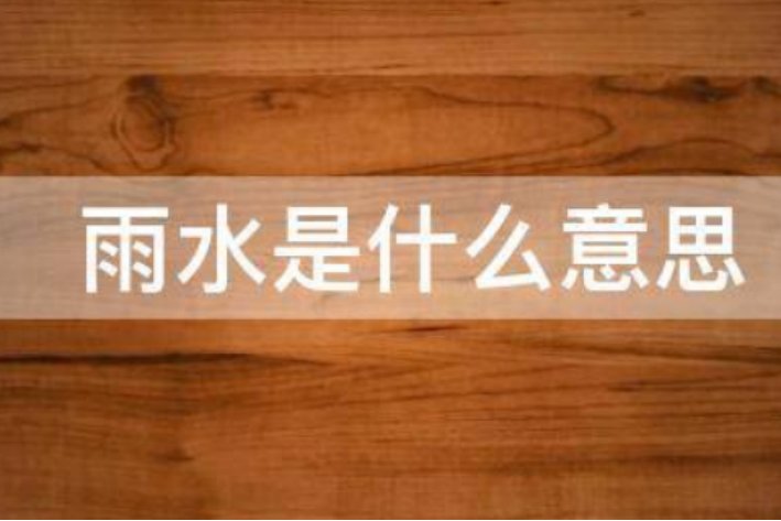 雨水是什么意思?