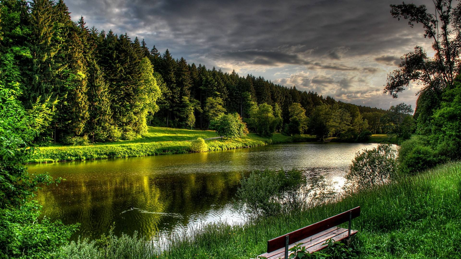 redamancy什么意思?