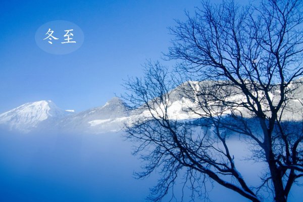 天时人事日相催，冬至阳生春又来。的上一句是什么？