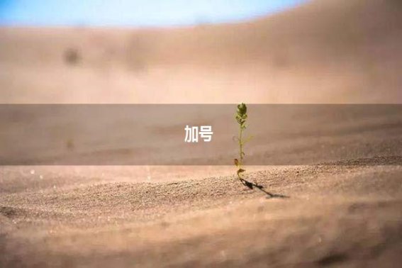 加号是什么意思