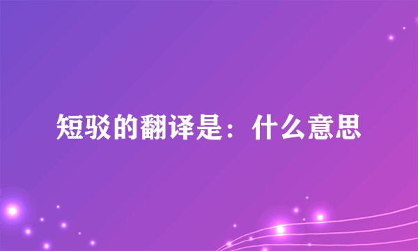 短驳的翻译是：什么意思