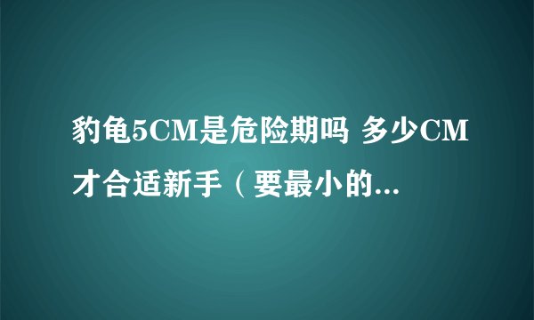 豹龟5CM是危险期吗 多少CM才合适新手（要最小的） 本人广东的
