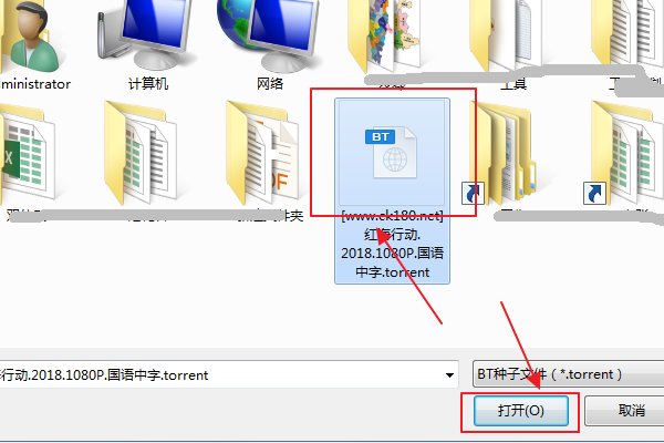 怎么查看种子的后缀是什么？