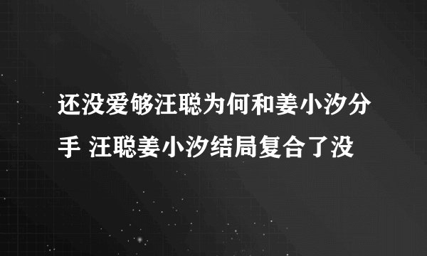 还没爱够汪聪为何和姜小汐分手 汪聪姜小汐结局复合了没
