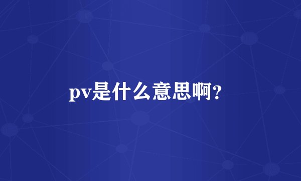pv是什么意思啊?
