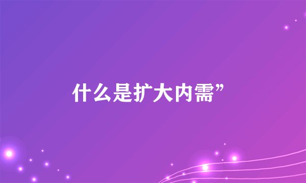 什么是扩大内需”
