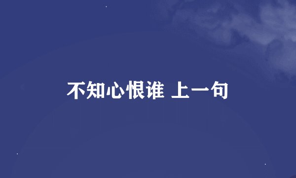 不知心恨谁 上一句