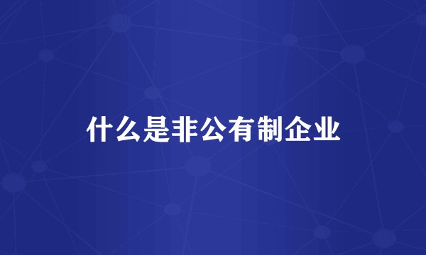 什么是非公有制企业