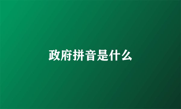 政府拼音是什么