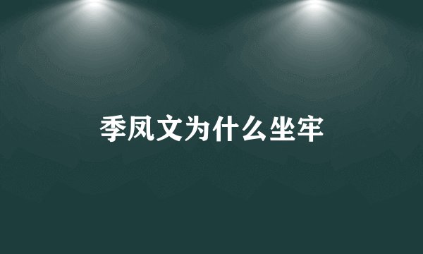 季凤文为什么坐牢
