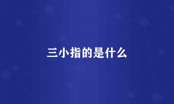 三小指的是什么