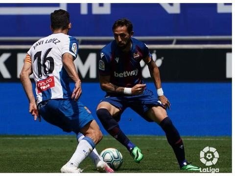 建树是什么意思解释