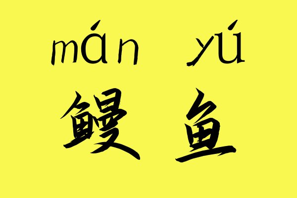 鳗鱼怎么读