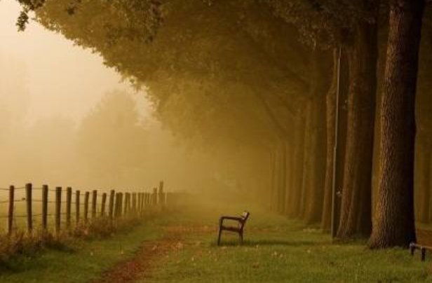 世态炎凉什么意思？