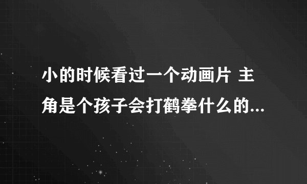 小的时候看过一个动画片 主角是个孩子会打鹤拳什么的那是什么动画片