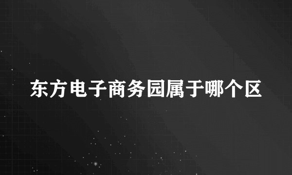 东方电子商务园属于哪个区