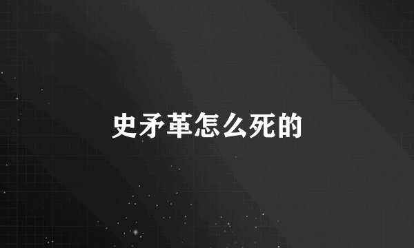 史矛革怎么死的