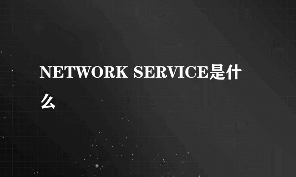 NETWORK SERVICE是什么