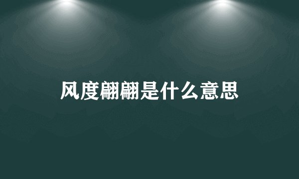 风度翩翩是什么意思
