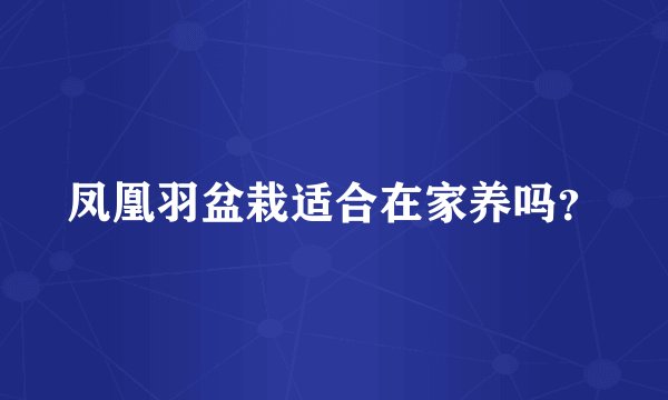 凤凰羽盆栽适合在家养吗？