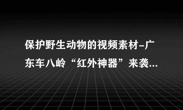 保护野生动物的视频素材-广东车八岭“红外神器”来袭，它是如何记录野生动物的？