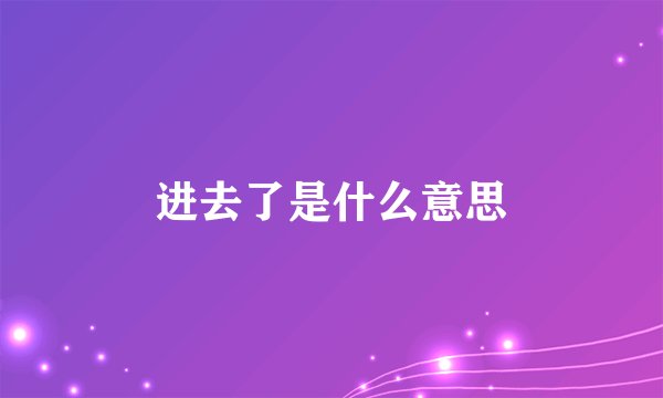 进去了是什么意思