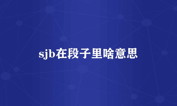 sjb在段子里啥意思