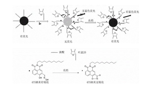 什么是无机和有机