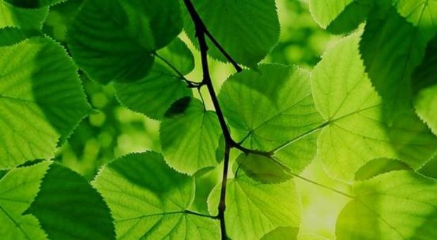 闰六月多少年一次