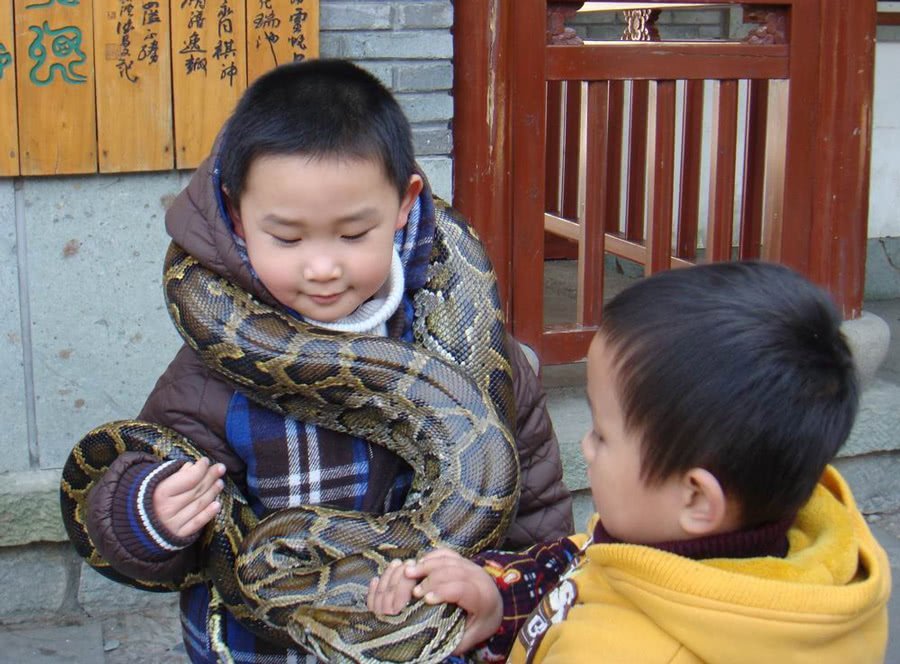 中国最恐怖的岛屿，岛上全是毒蛇，你敢下脚吗