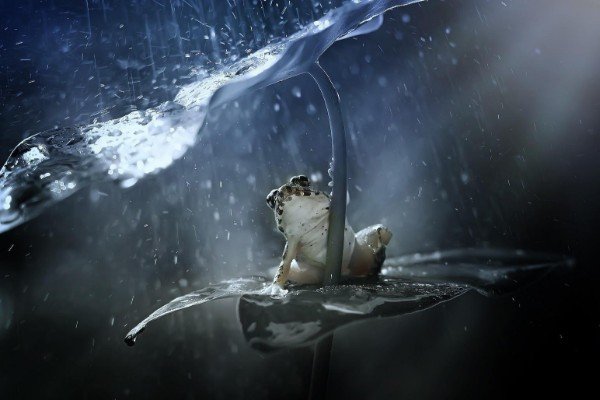 关于雨的歌词有哪100首