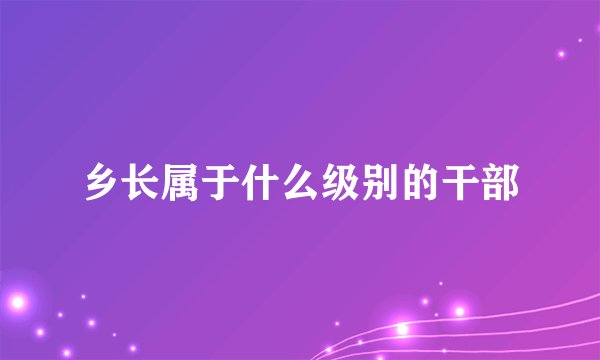 乡长属于什么级别的干部
