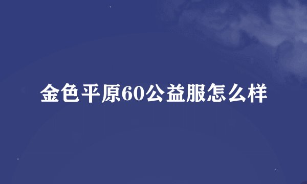 金色平原60公益服怎么样
