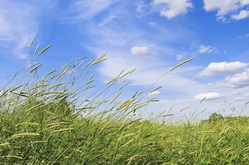 “夙”字读音。