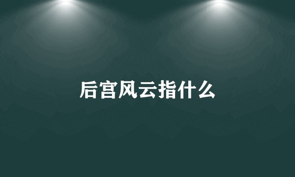 后宫风云指什么