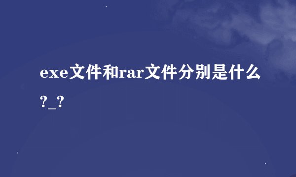 exe文件和rar文件分别是什么?_?
