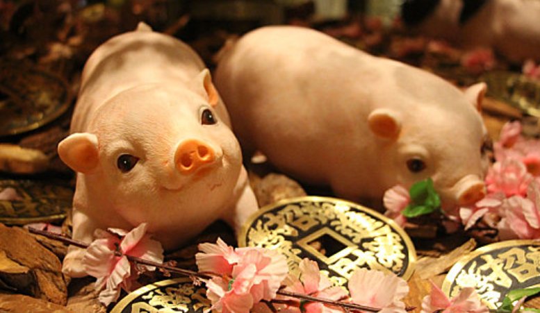 画虎不成指什么生肖